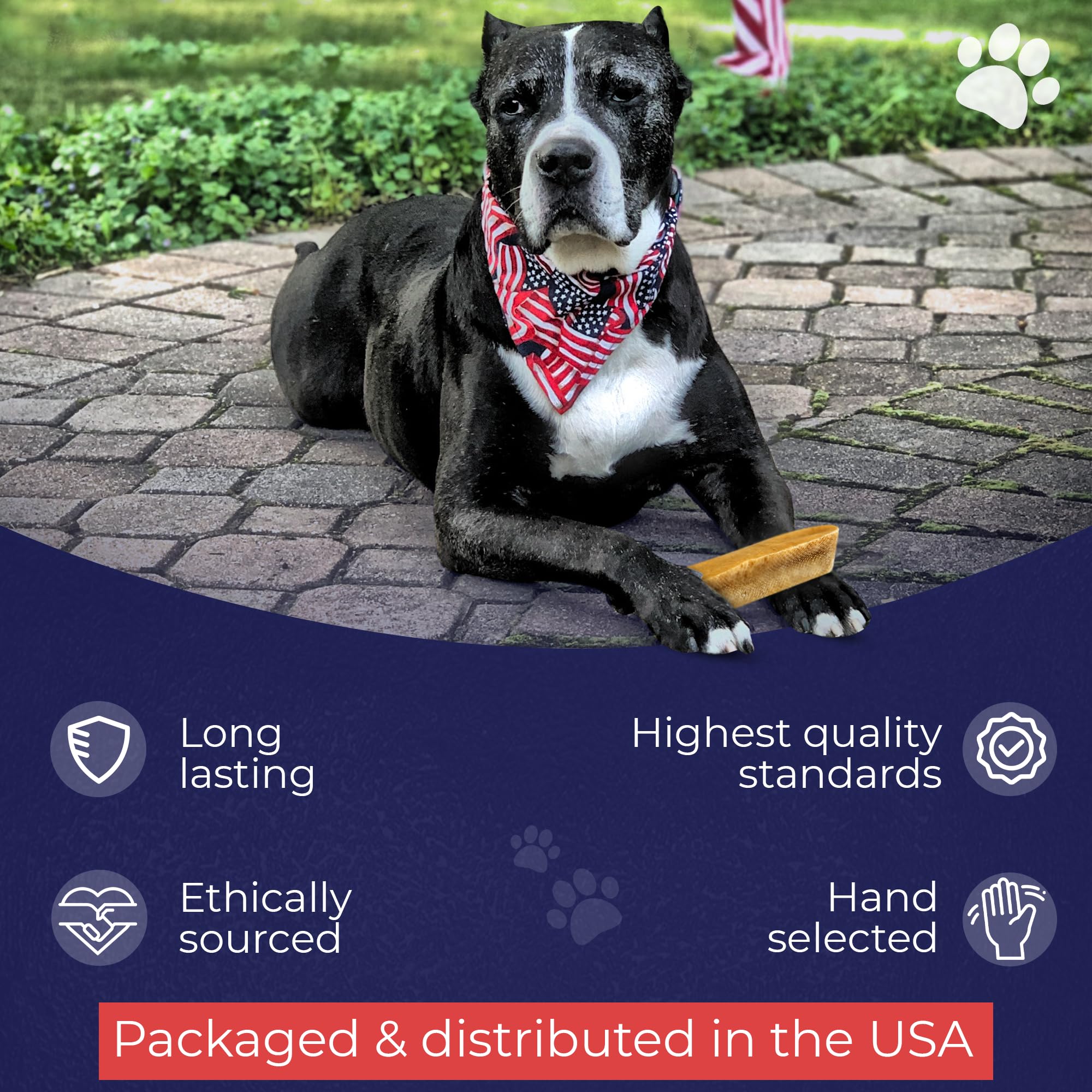 Beast de Devil Dog Pet Co: ingredientes naturales para una nutrición simple