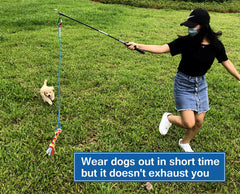 Dewonch cuerda nylon resistente para tirones seguros y energizar a tu perro.