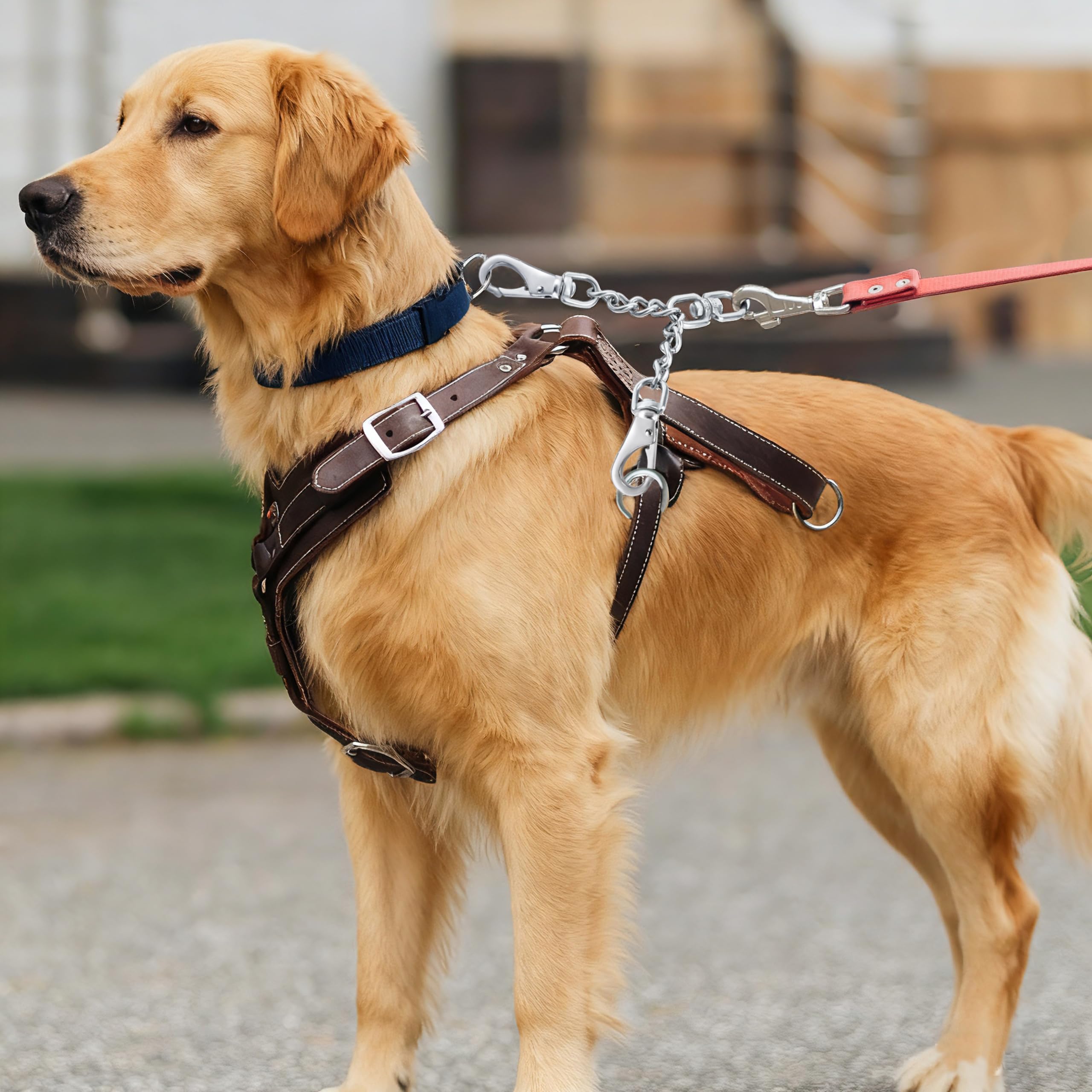 Conexión collar-arnés estable con DEYACE para control sólido.