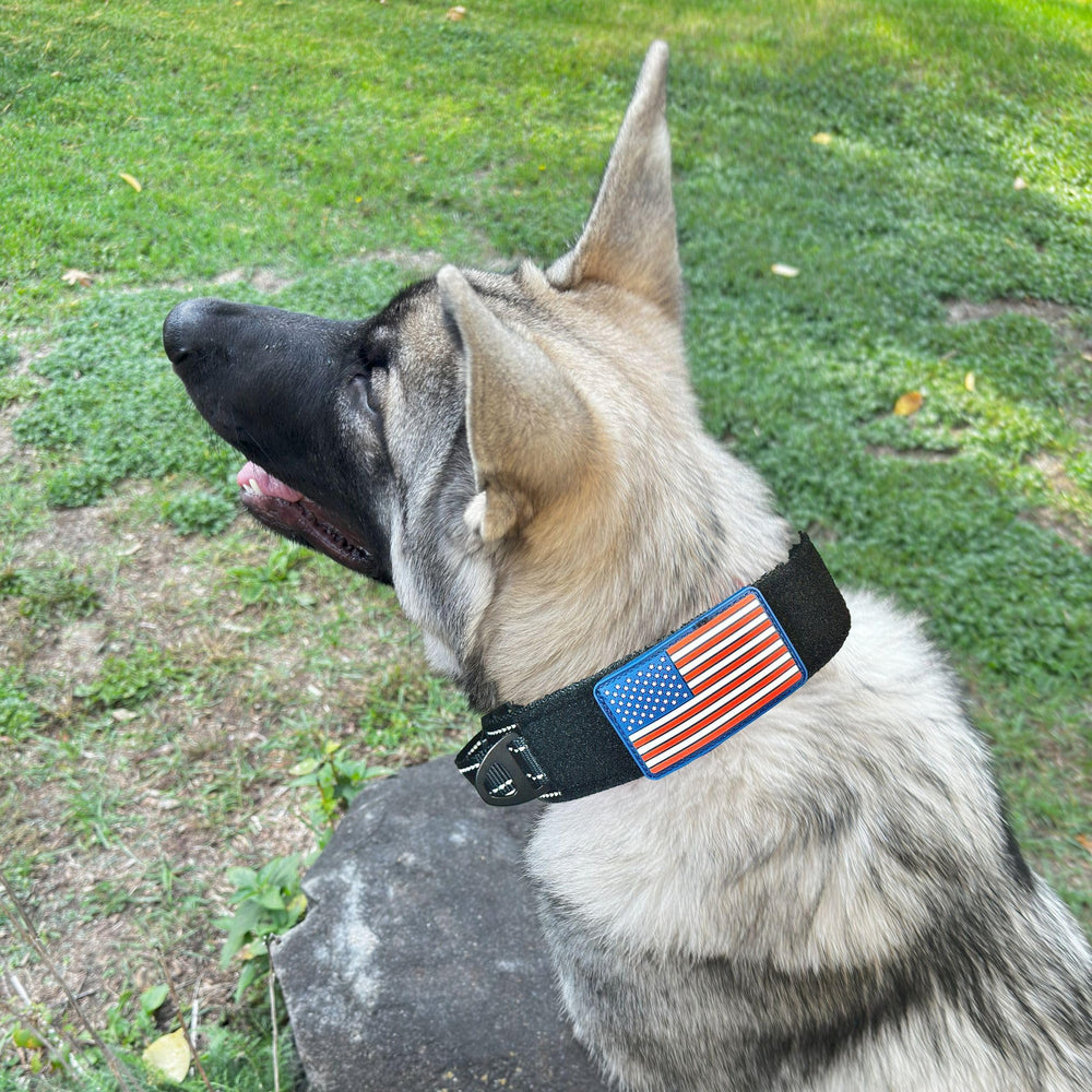 Hebilla de metal duradera en collar Dezizeusk9 para uso diario.