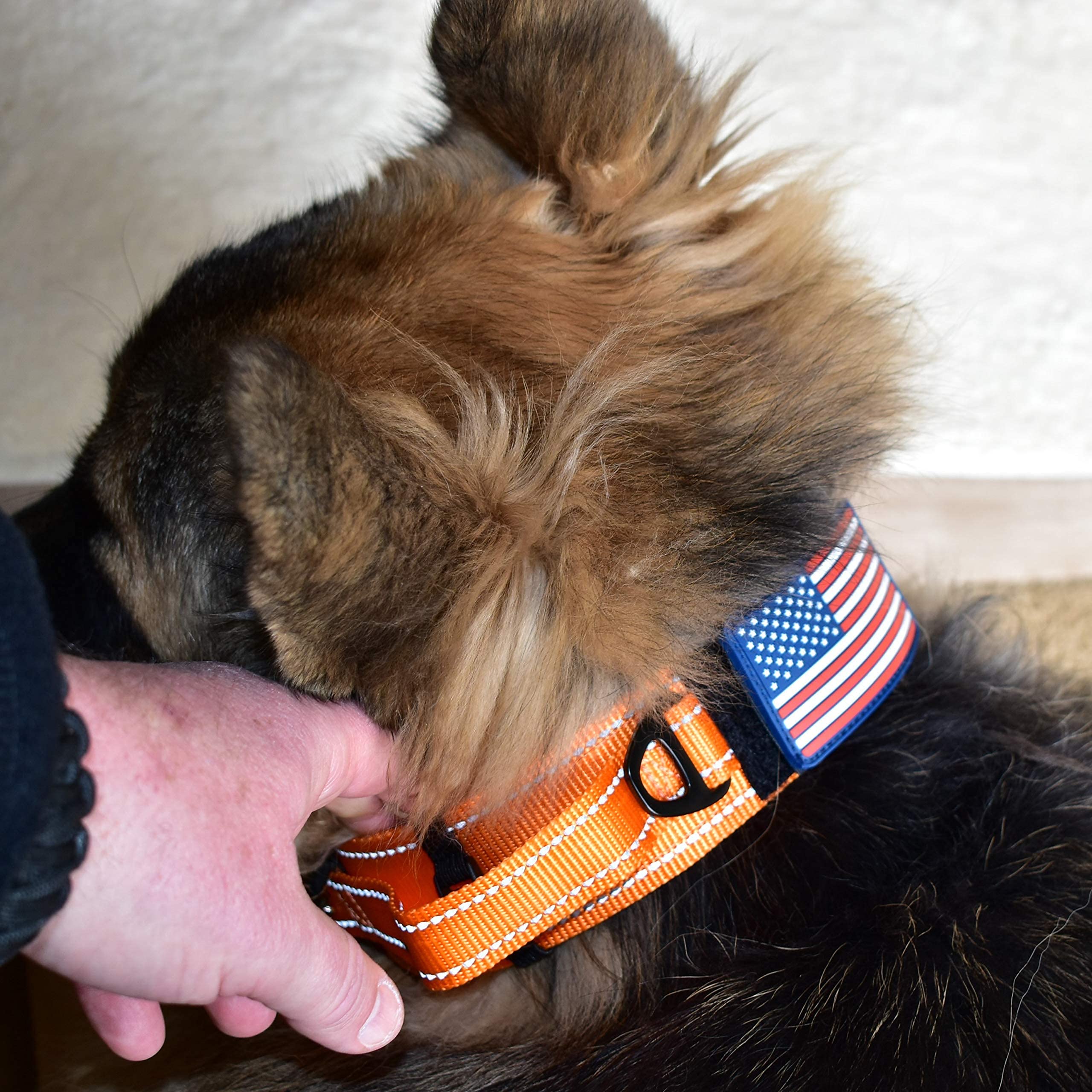 DEZIZEUSK9 collar ajustable 16-25 pulgadas para perros medianos y grandes.