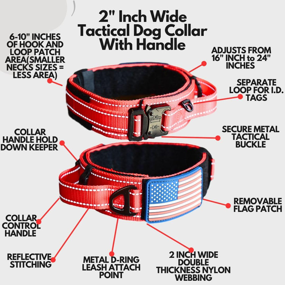 DEZIZEUSK9 collar con mango de control para manejo seguro.