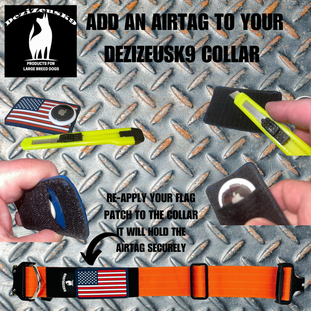 DEZIZEUSK9 collar uso diario y entrenamiento duradero