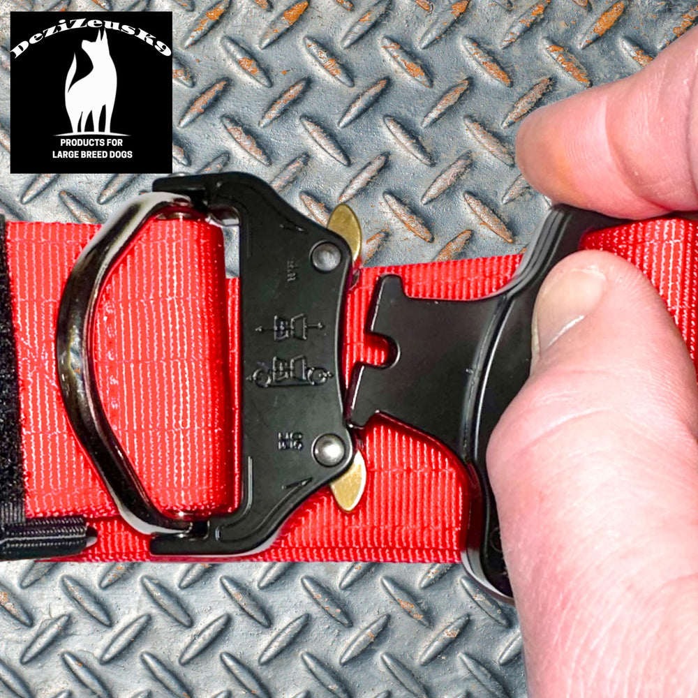 DEZIZEUSK9 collar nylon resistente para climas duros