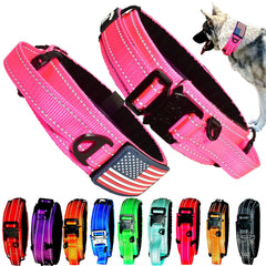 DEZIZEUSK9 collar táctico 2 pulgadas con hebilla metálica, resistente para perros grandes en uso diario.