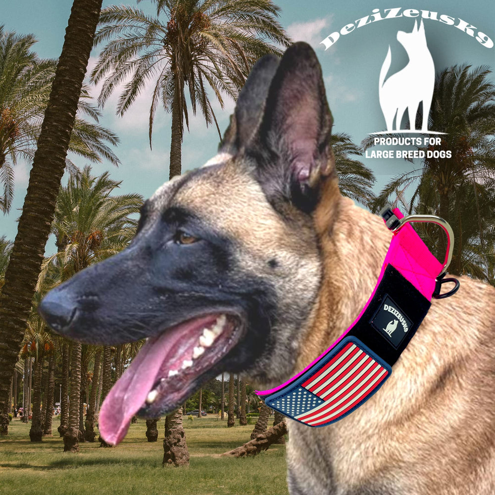 DEZIZEUSK9 collar táctico con ajuste para tallas medianas y grandes.