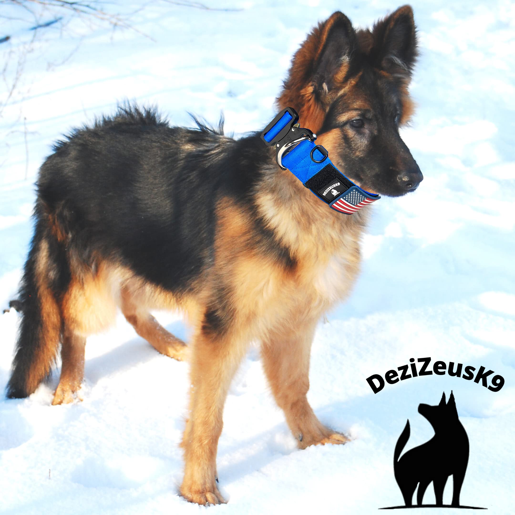 DEZIZEUSK9 placa nombre ajustable para identificacion