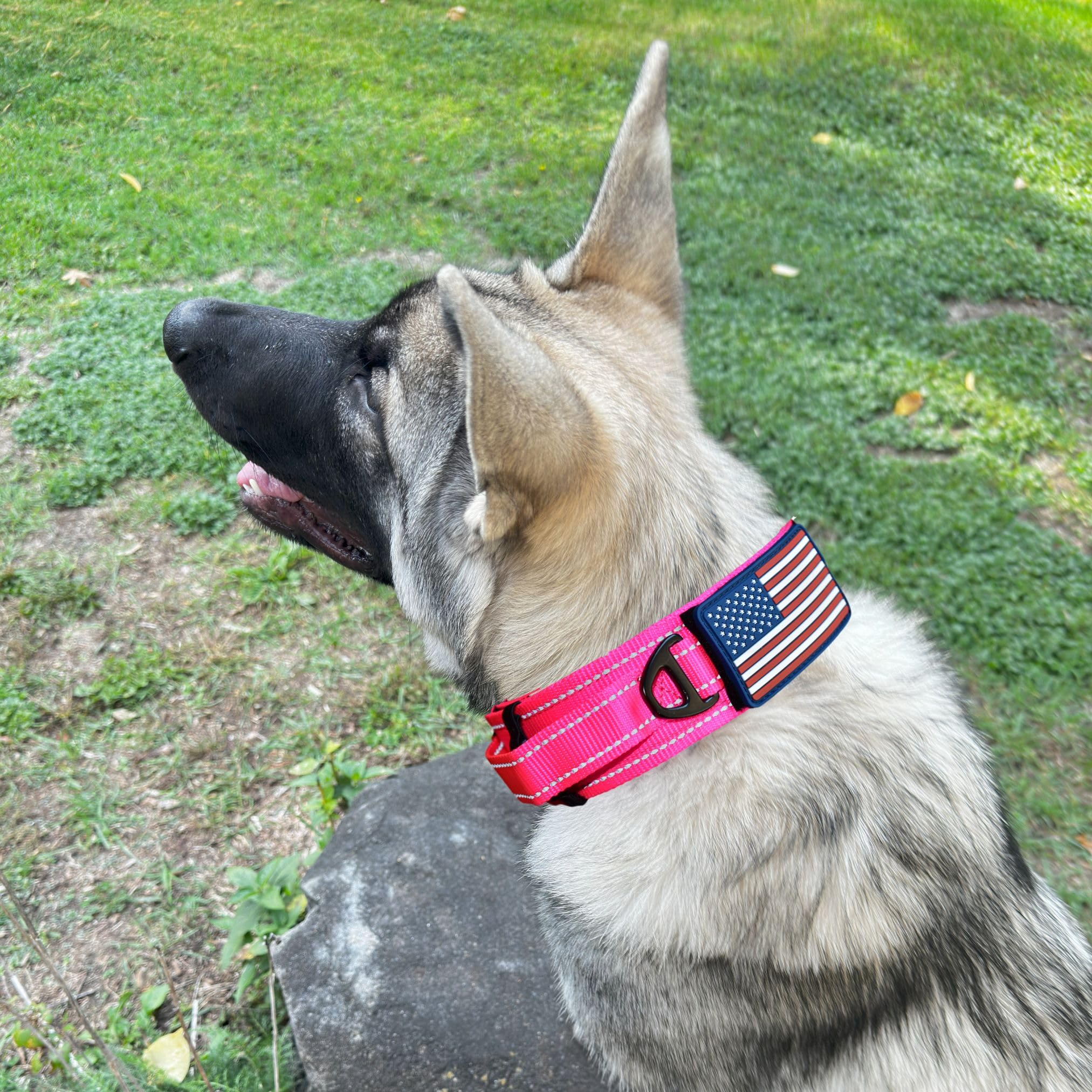 DEZIZEUSK9 collar táctico con costuras reflectivas para mayor visibilidad en poca luz.