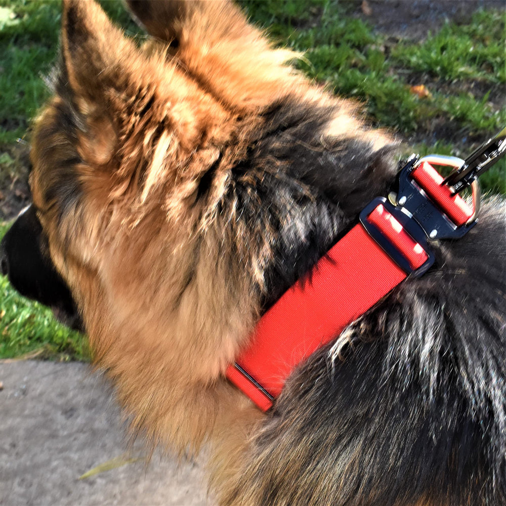 Correa para perros grandes hipoalergénica y ergonómica DEZIZEUSK9.