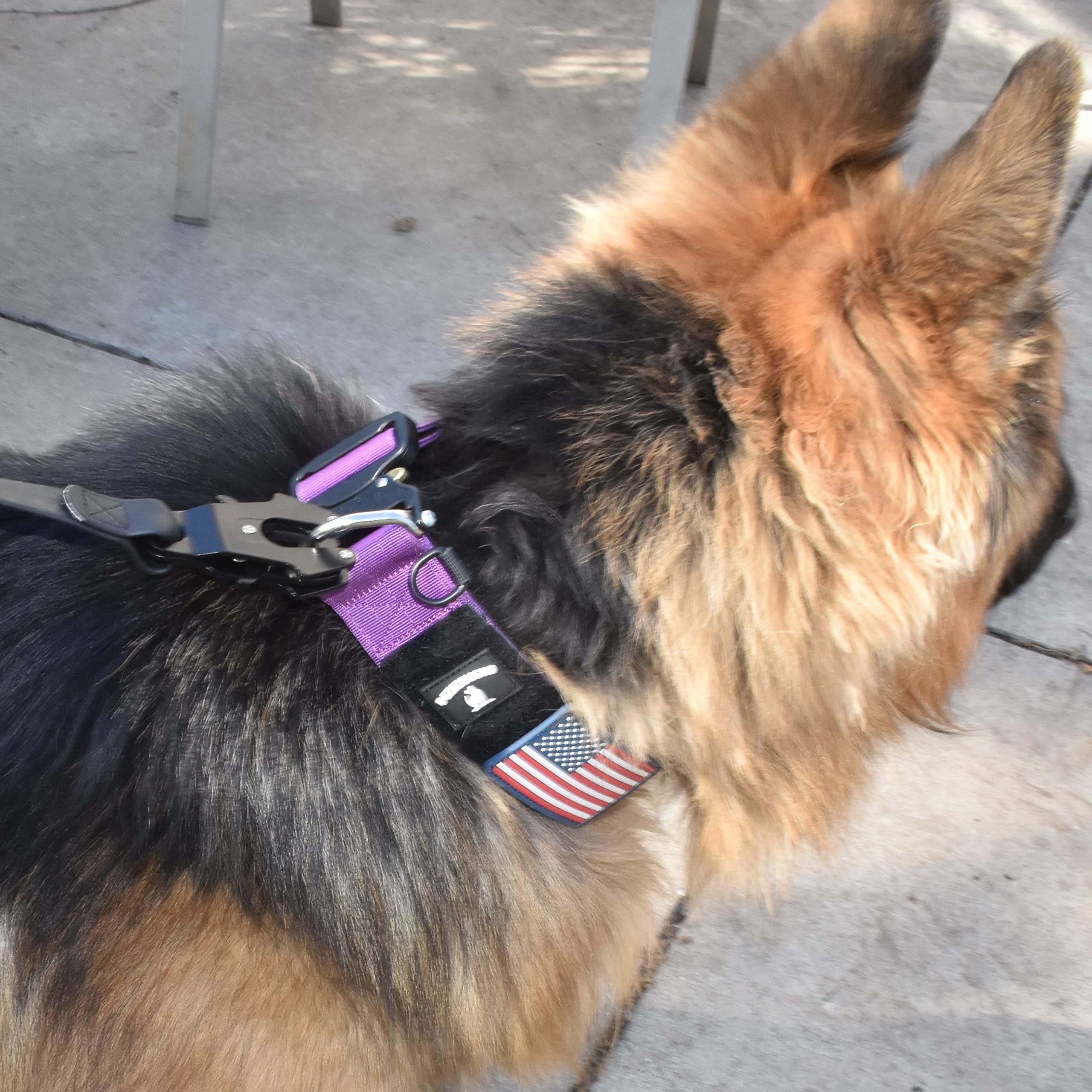 DEZIZEUSK9 diseño ergonomico para pasear y entrenar