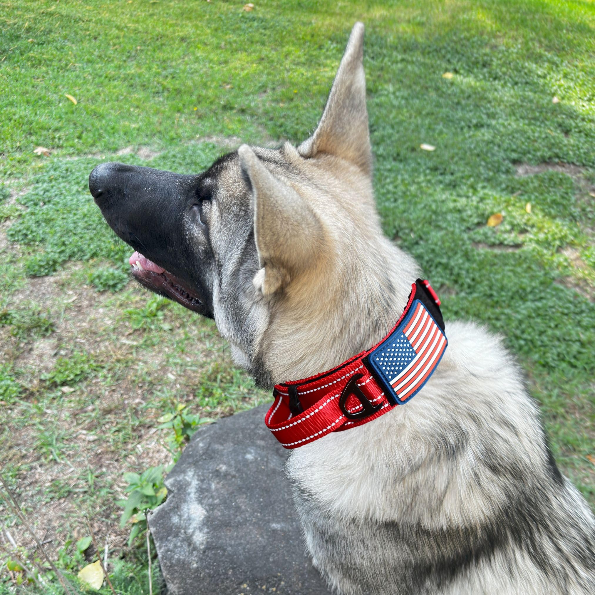 DEZIZEUSK9 mango de control para manejo seguro durante paseos