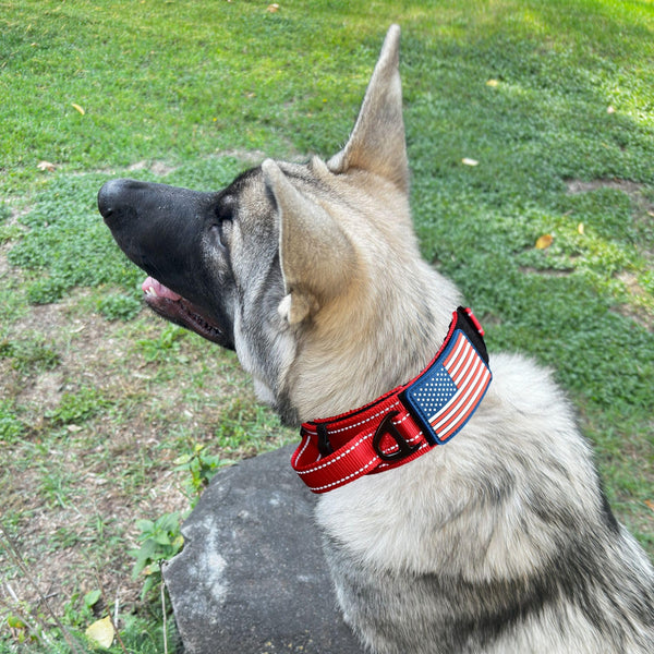 DEZIZEUSK9 mango de control para manejo seguro durante paseos