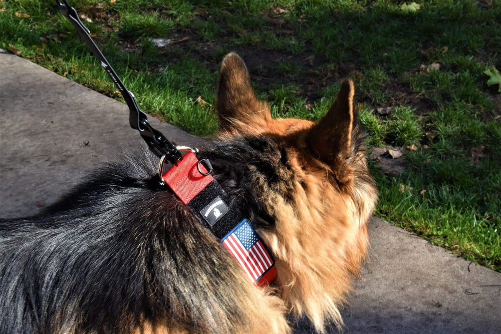 Parche USA removible para personalización rápida de la correa DEZIZEUSK9.