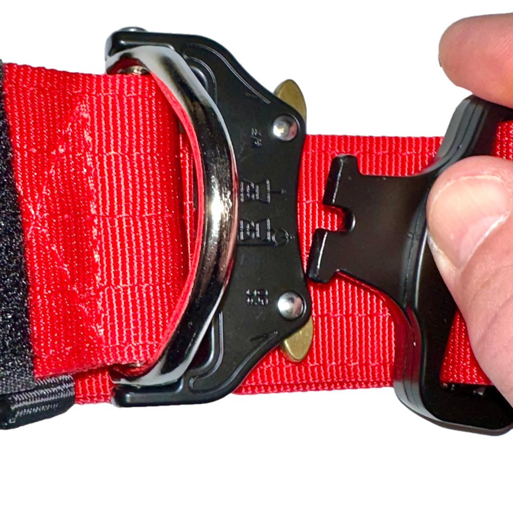 Placa de nombre personalizable de DEZIZEUSK9 para identificar a tu compañero.