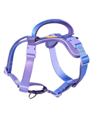 DF Freedom arnés perro martingale con clip frontal para control suave en paseos