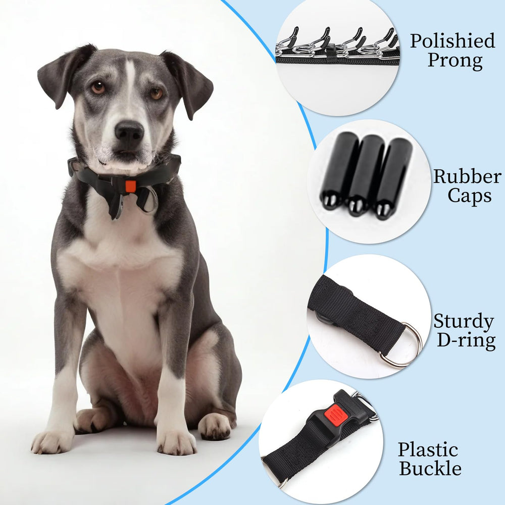 DFQ collar de entrenamiento ajustable para perros de distintos tamaños