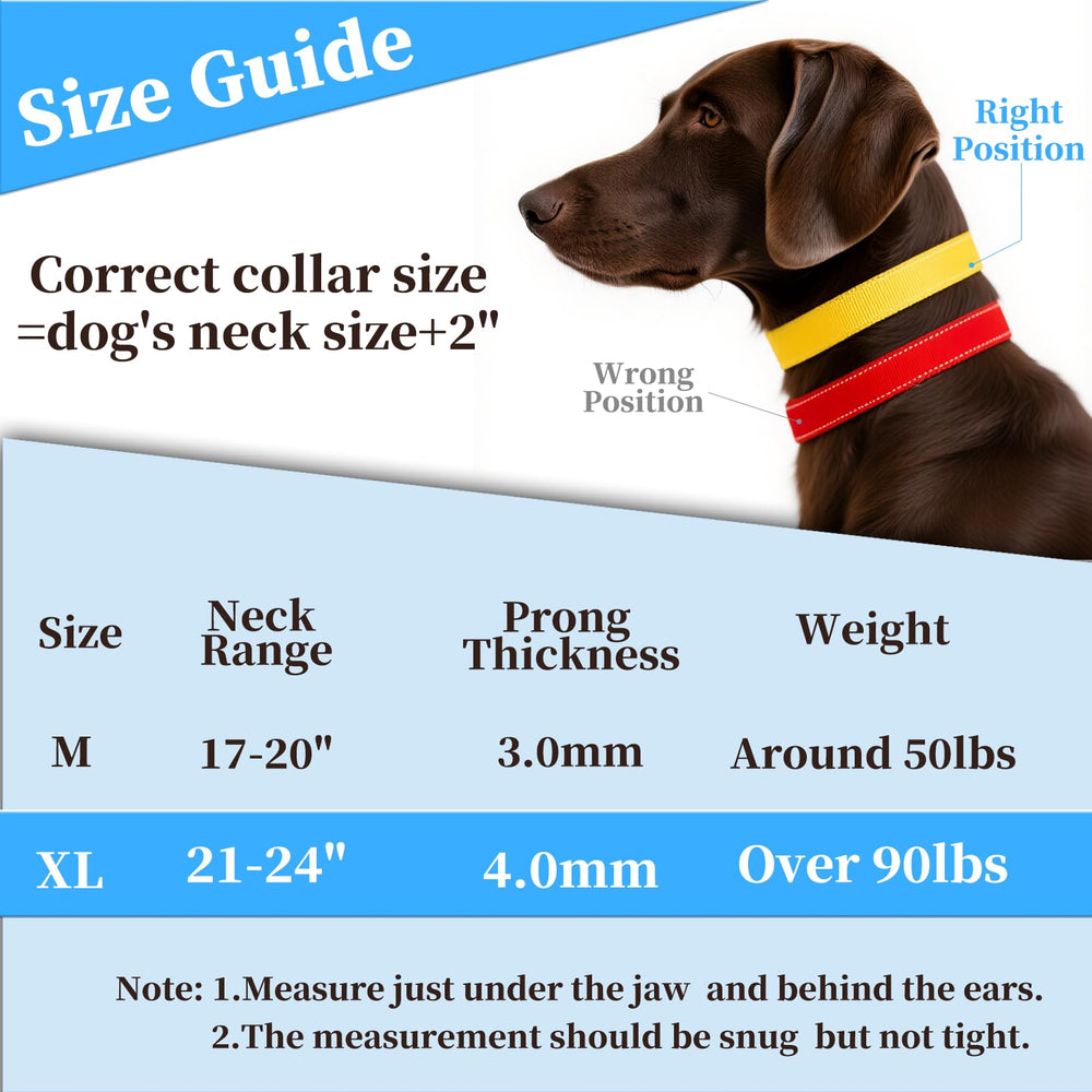 DFQ collar con cubierta de goma suave para comodidad durante entrenamiento