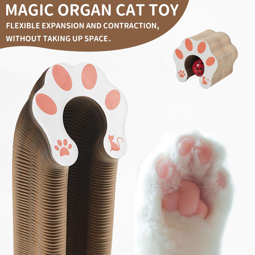 DFQ Kitty Kurlz ayuda al gato a estirarse y ejercitarse de forma suave.