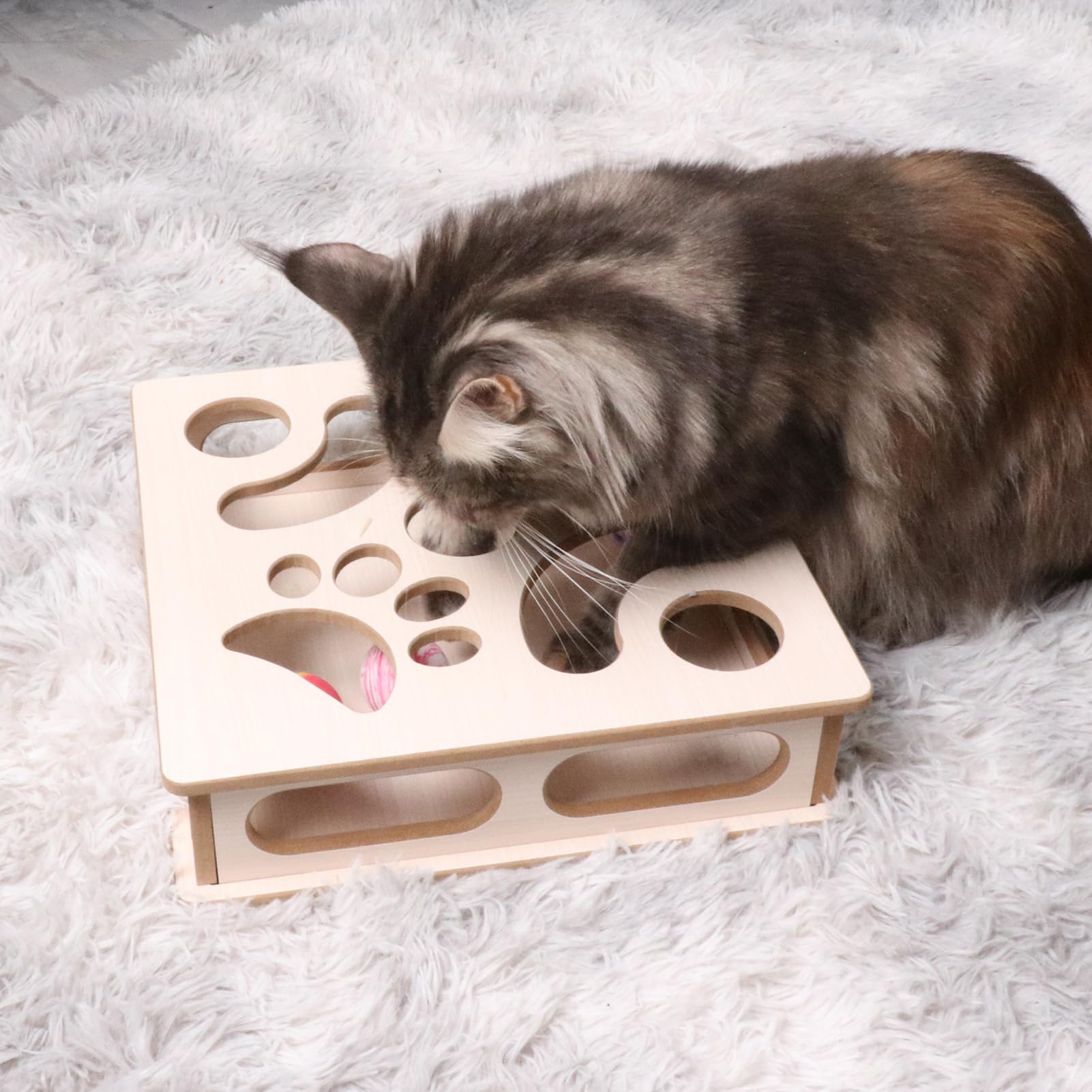 DI BI GRAMAS juego de caza interior para gatitos