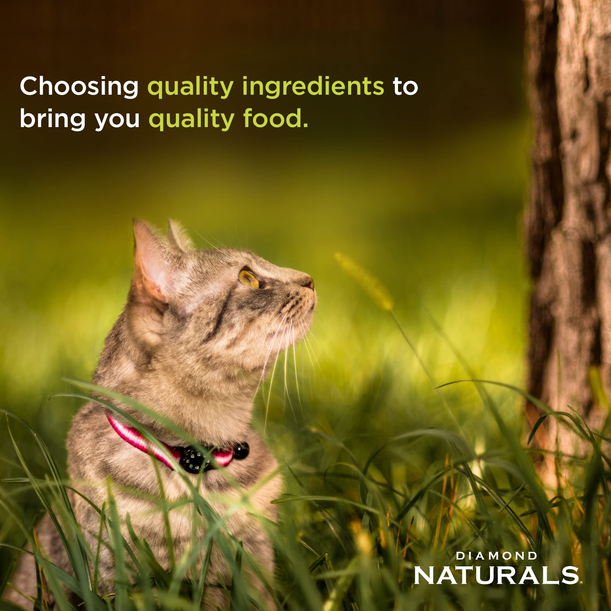 DIAMOND NATURALS probióticos y prebióticos para digestión y defensa natural