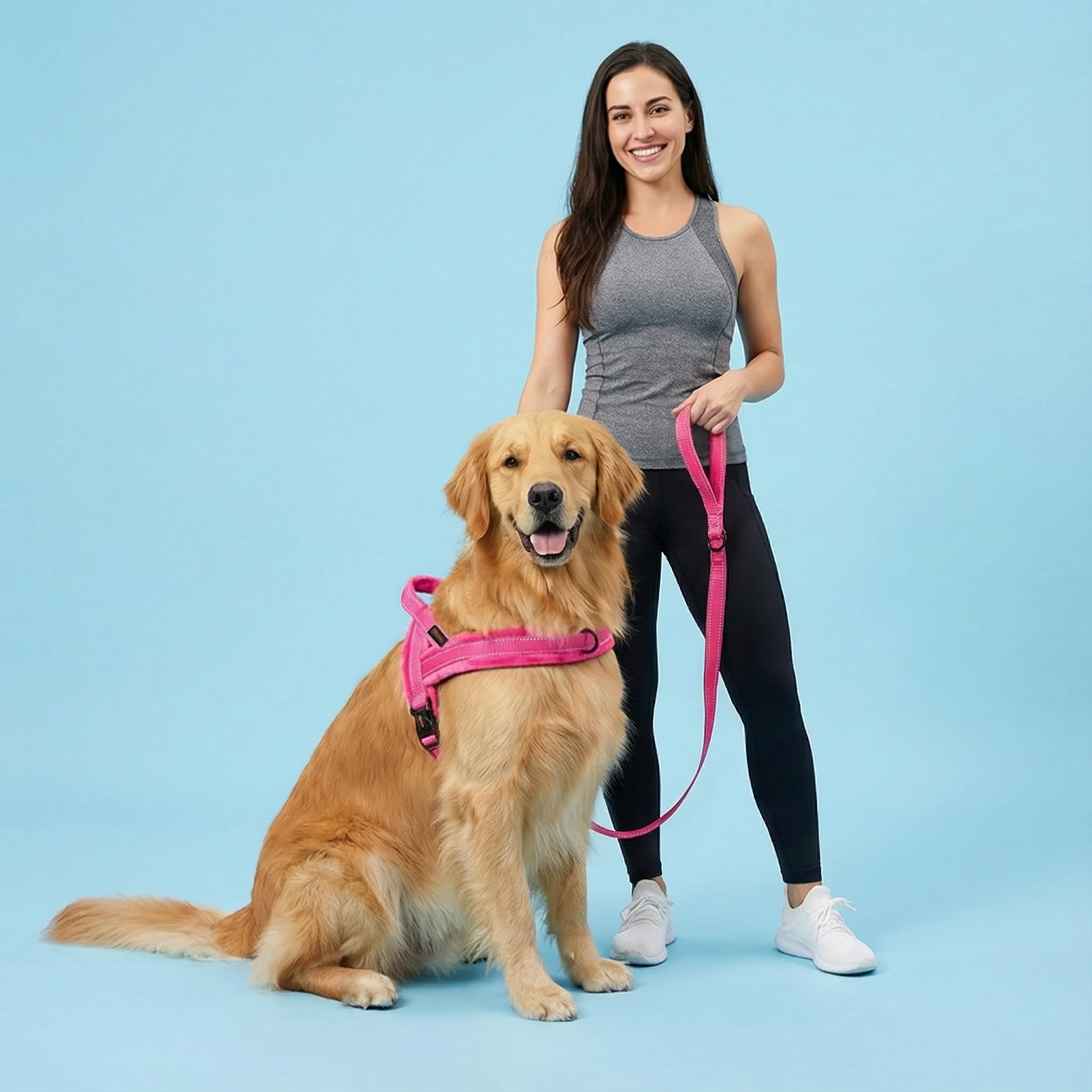 Arnés Didog con anilla frontal para entrenamiento suave