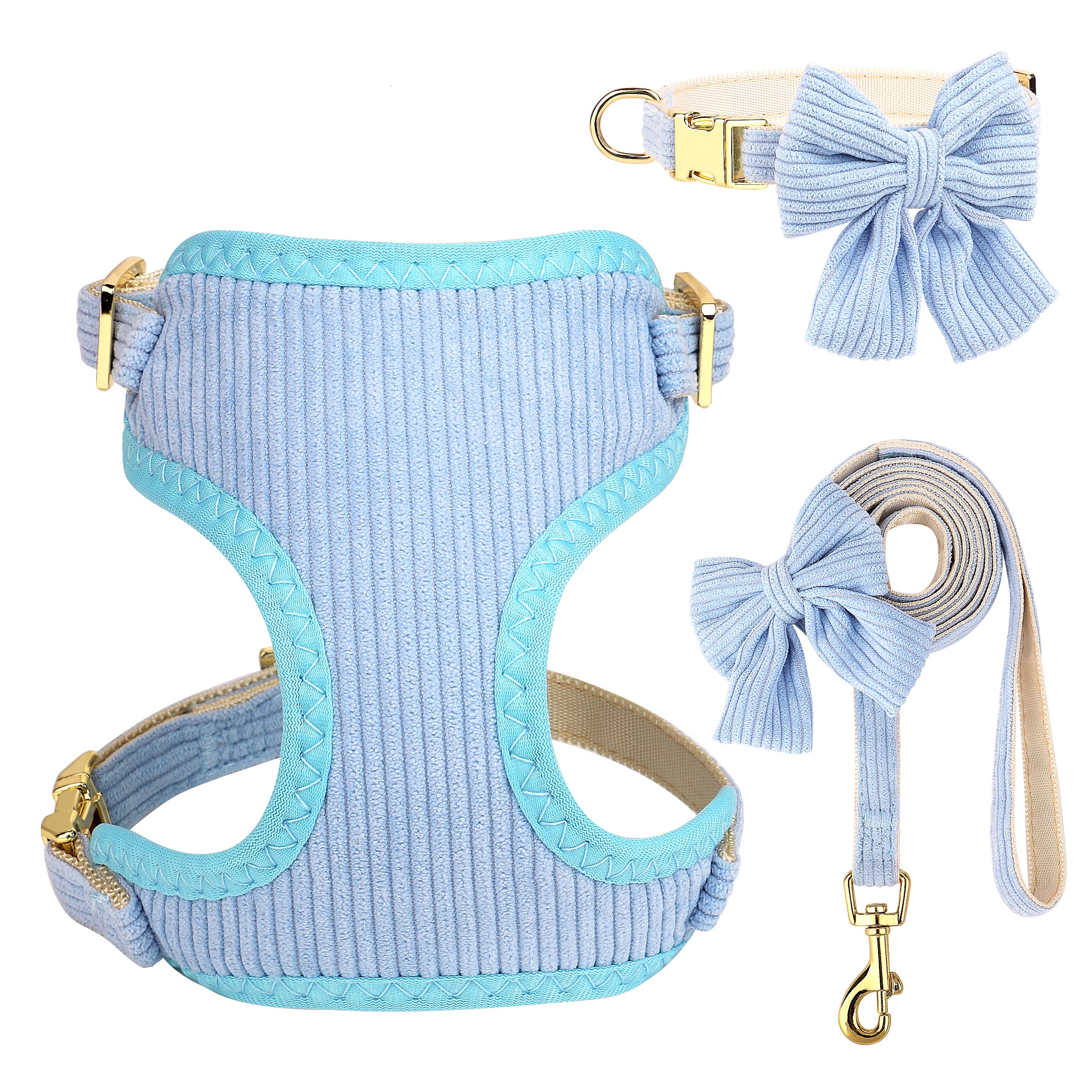 Didog arnés-collar para perros pequeños con lazo azul, ideal para paseos diarios
