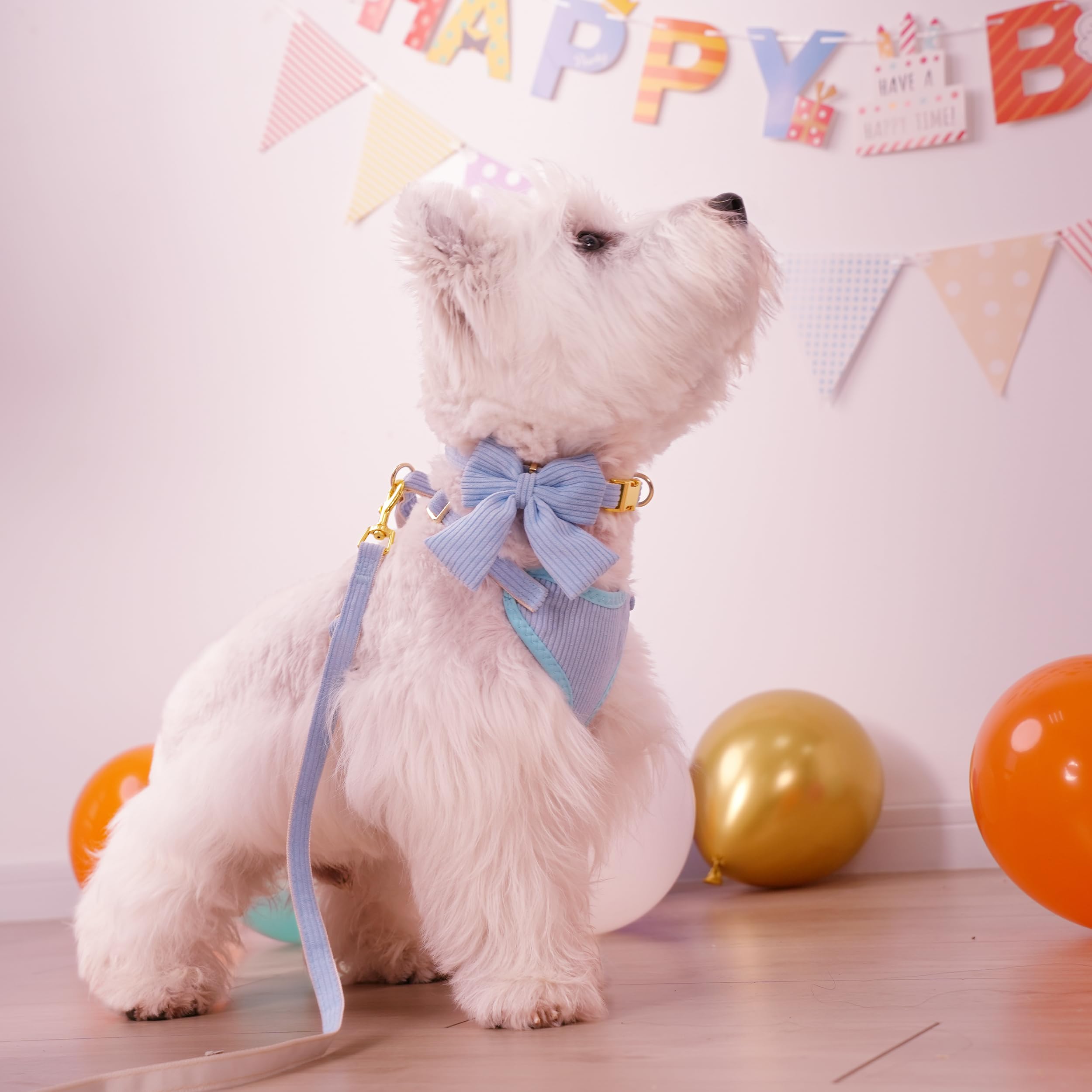 Didog arnés de malla transpirable para perros diminutos, diseño ligero