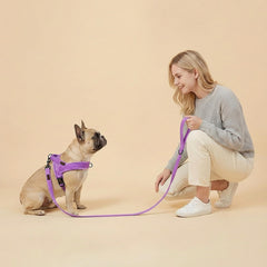 Didog arnés, peso ligero y nylon resistente, perfecto para paseos.