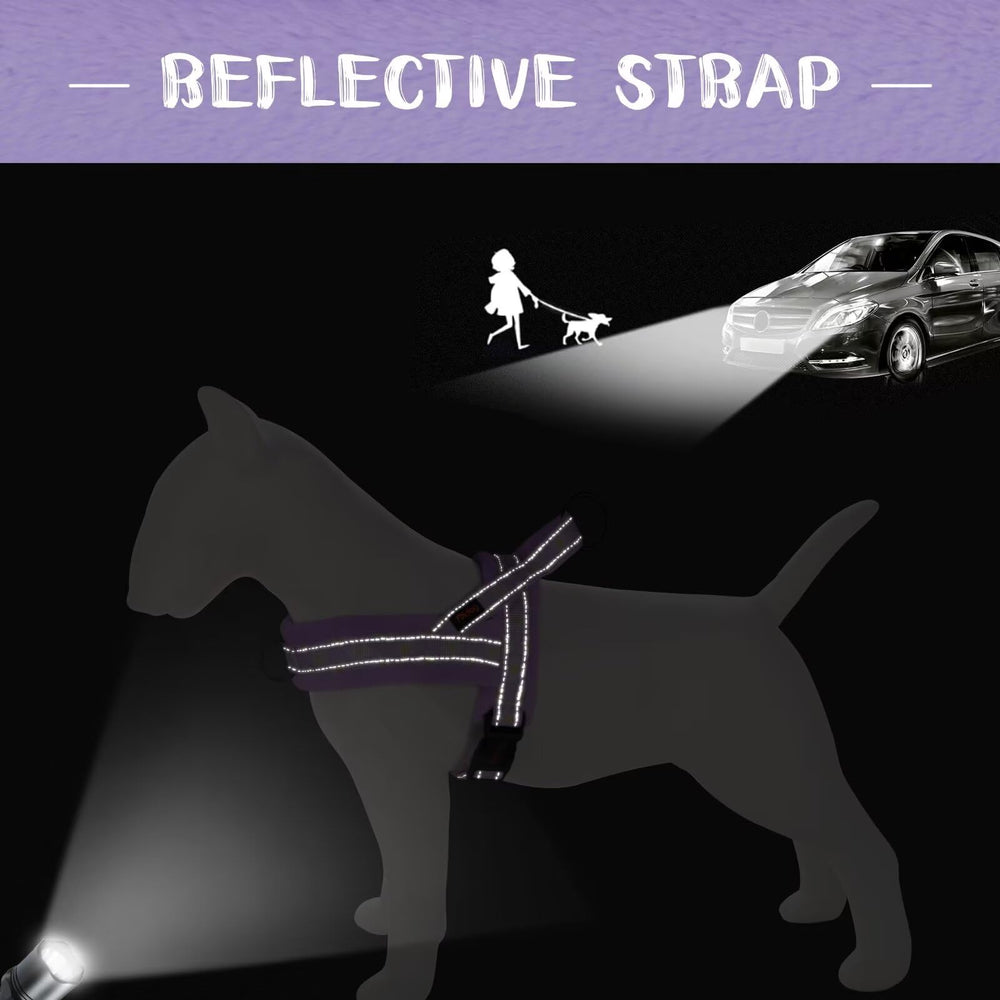 Arnés Didog reflectivo para mayor visibilidad nocturna