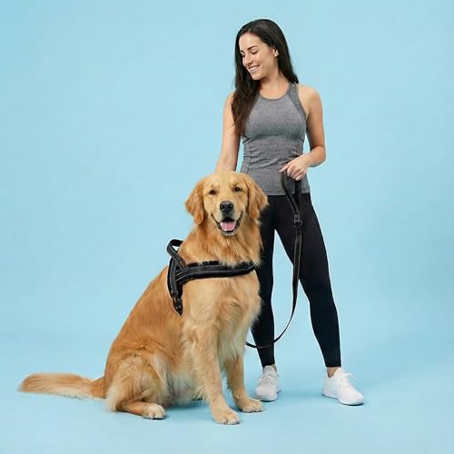 Arnés Didog reflectivo con dos líneas para visibilidad nocturna