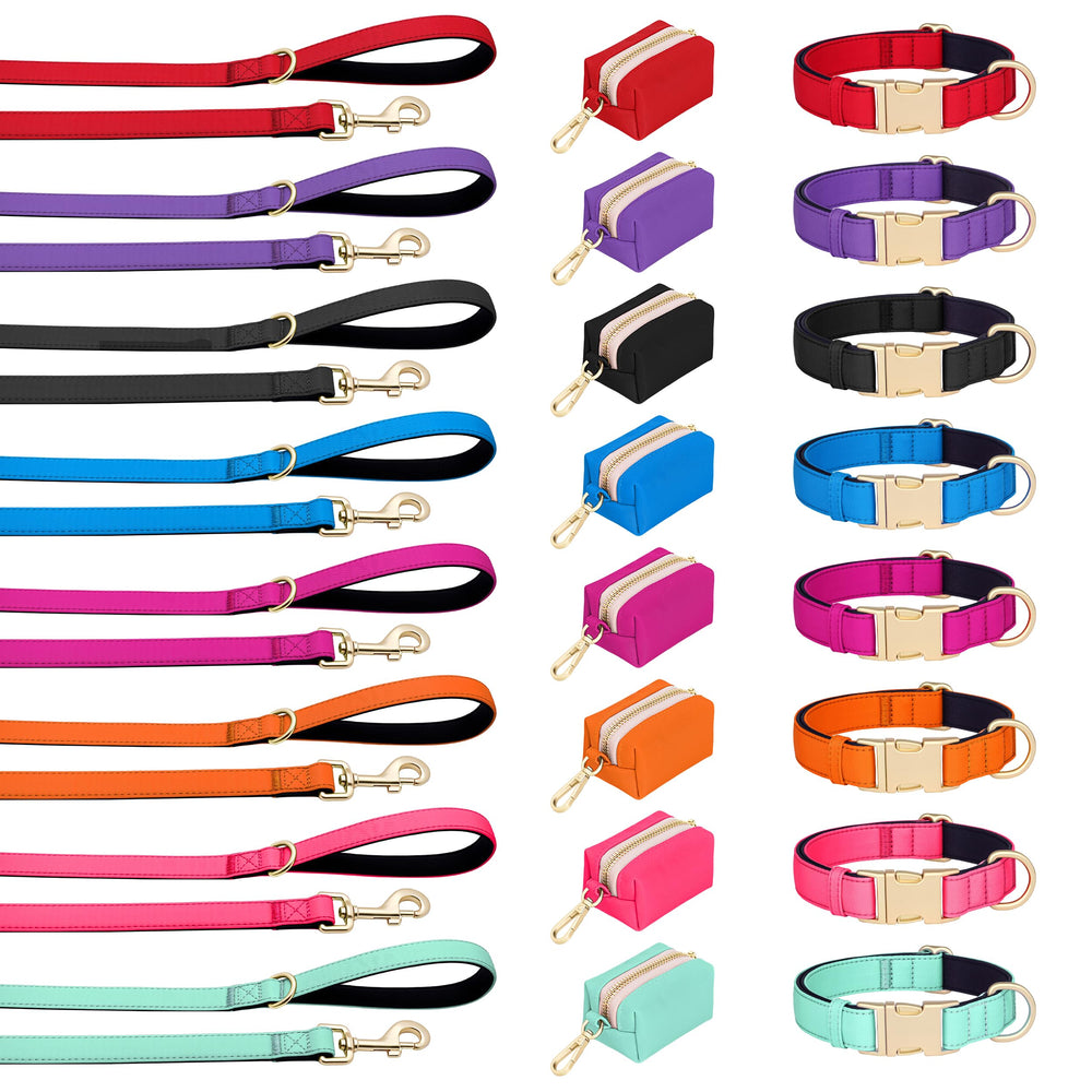 Didog negro sobrio acolchado, discreto para uso diario y entrenamiento.