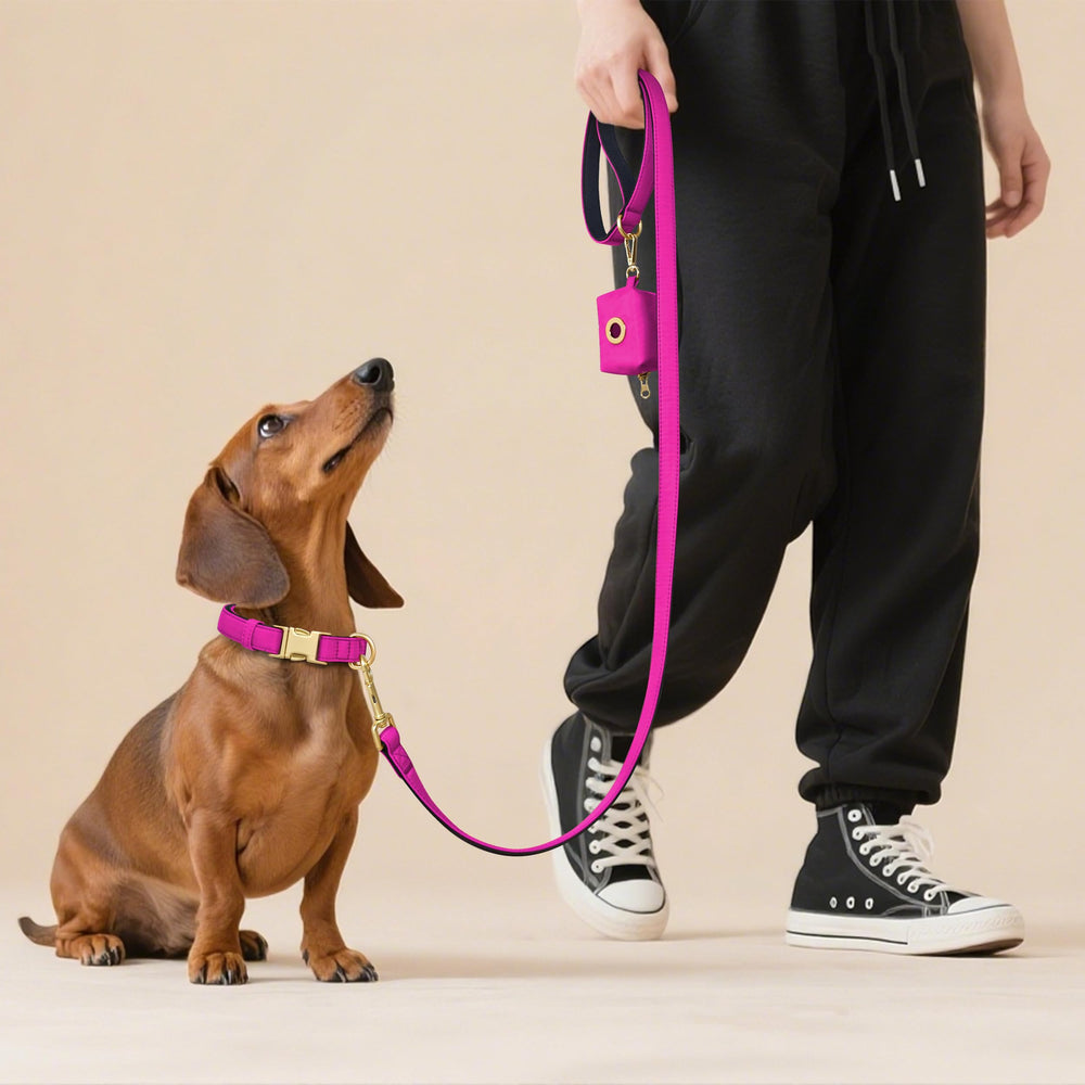 Didog púrpura elegante acolchado, estilo y confort para perros medianos.