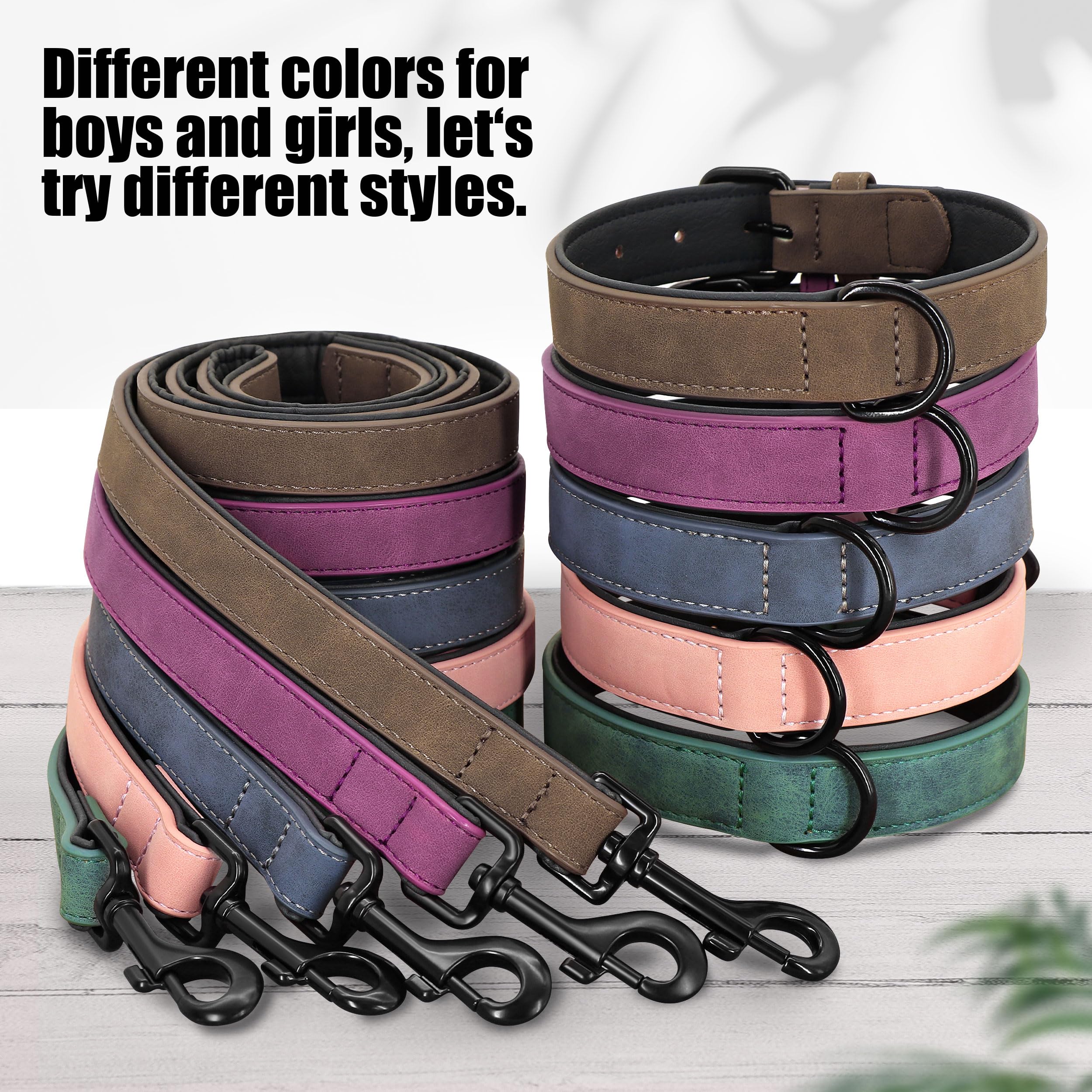 Didog collar con ajuste de cinco perforaciones y metal resistente