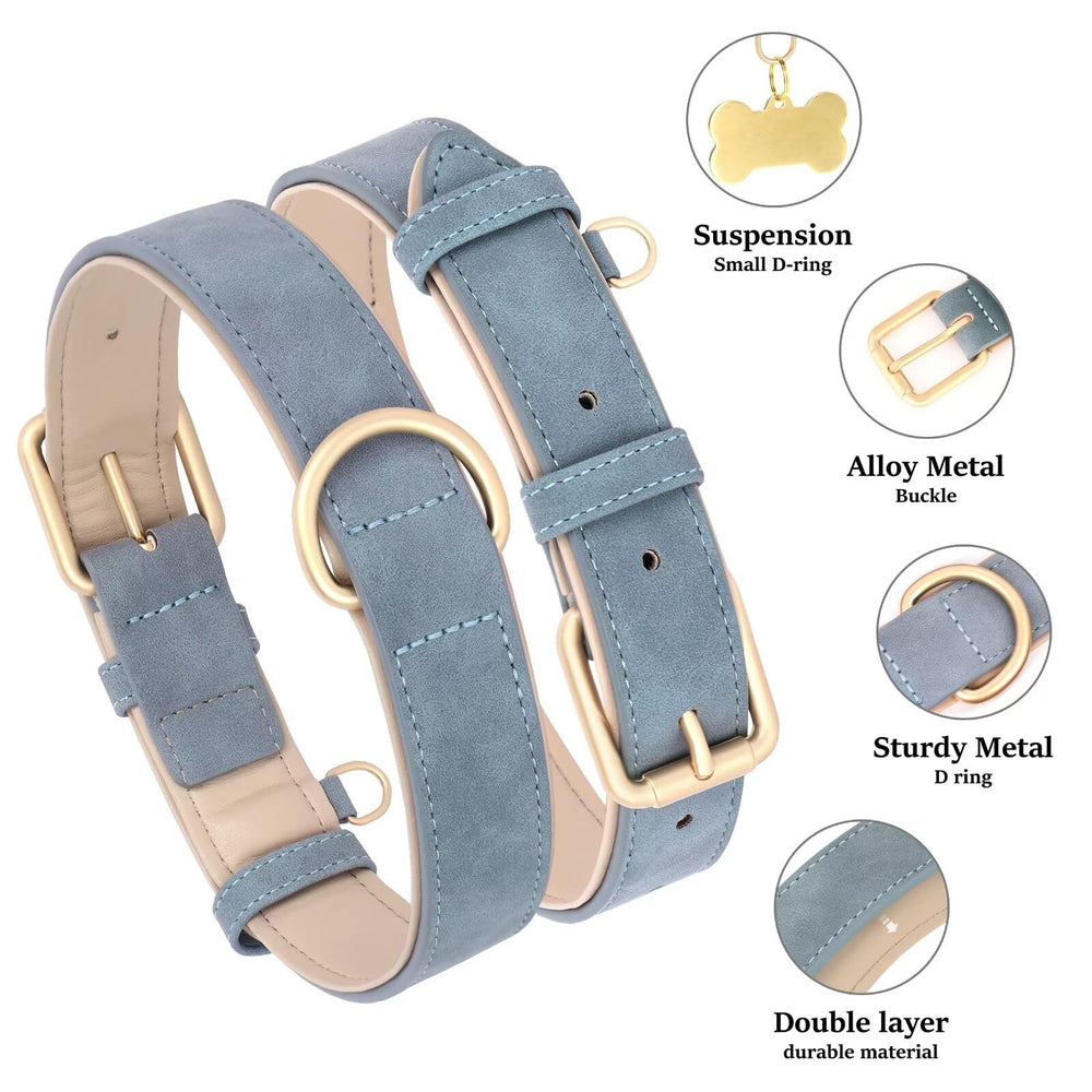 Didog collar con anilla D azul, asegura la correa con facilidad.
