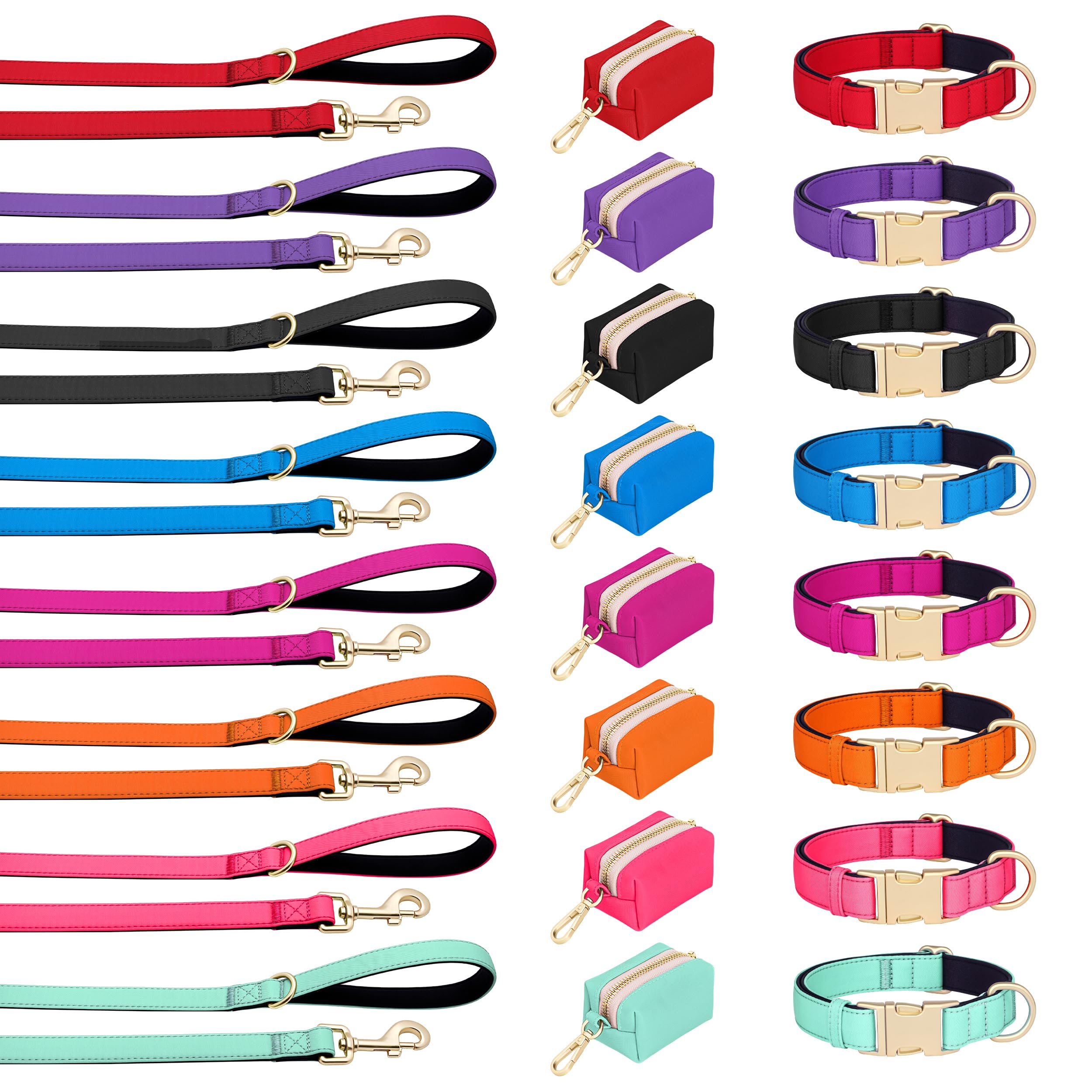 Didog collar con cierre seguro para seguridad durante paseos y juegos.