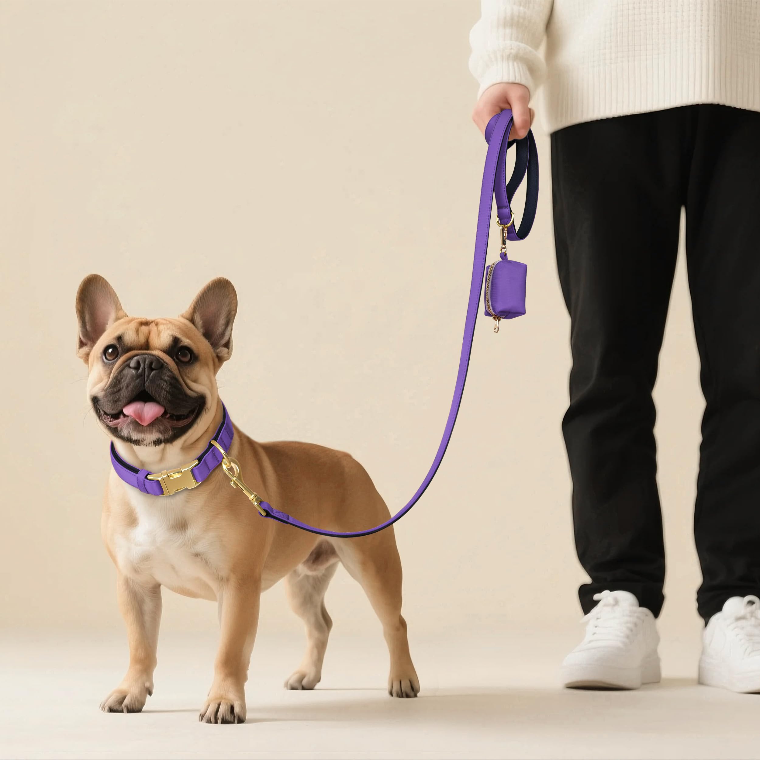 Didog collar en colores vibrantes para expresar estilo al caminar.