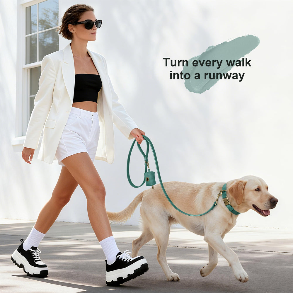 Didog collar con anilla en D para correa estable.