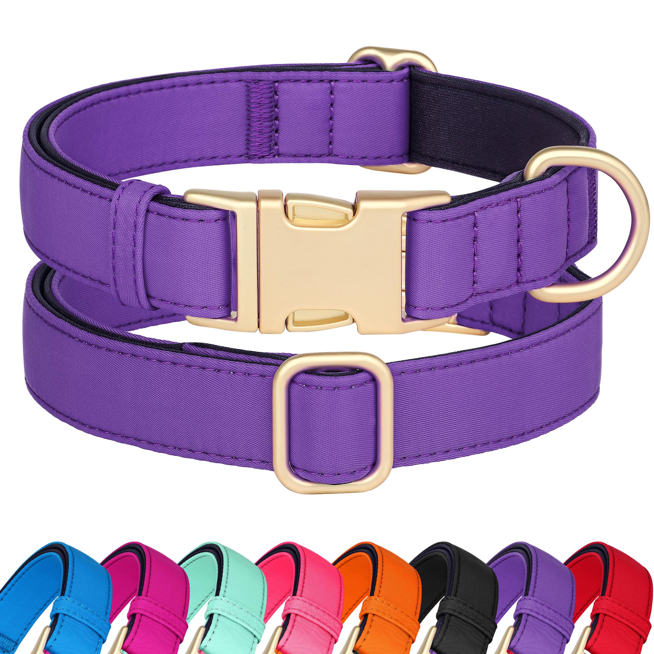 Didog collar grande con cierre rápido, ideal para paseos diarios.
