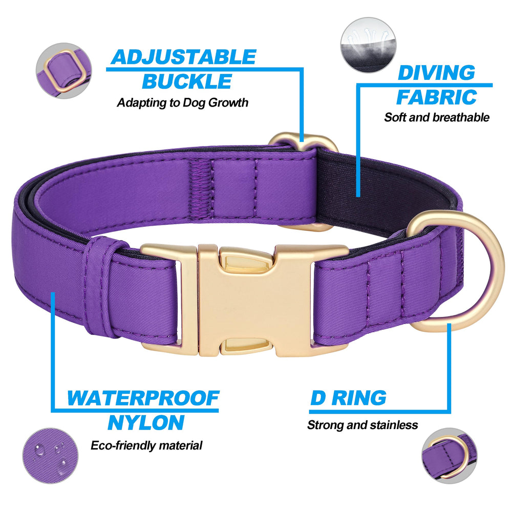 Didog collar ligero para perros grandes, cómodo todo el día.