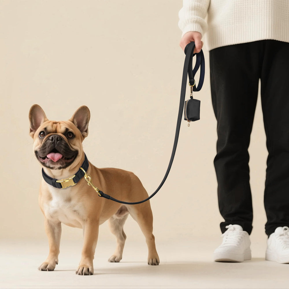 Didog collar de nylon ecoamigable, duradero para uso diario