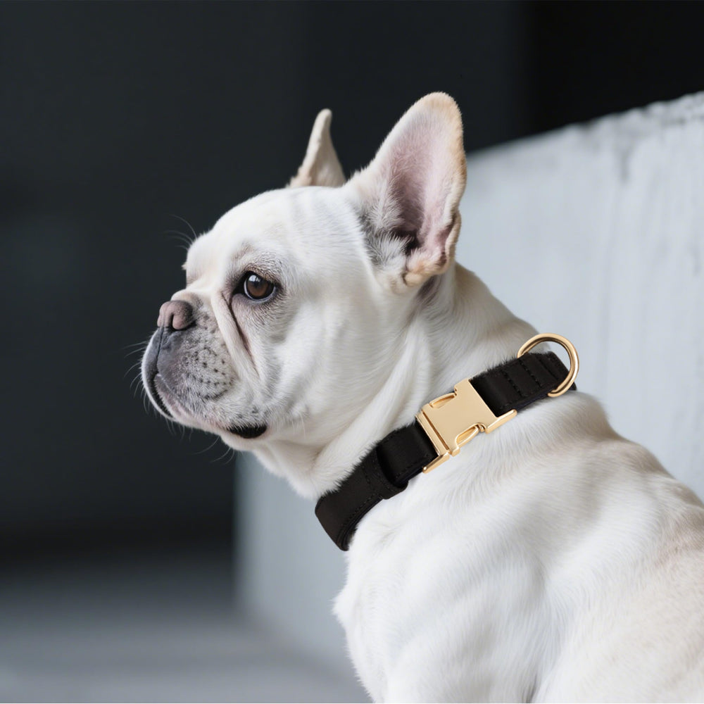 Didog collar nylon transpirable para caminatas largas y confort diario