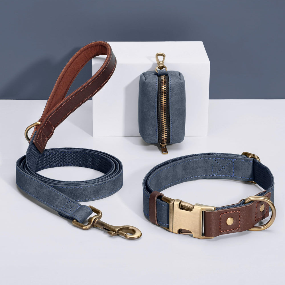 Didog collar para paseos diarios, cómodo y seguro.