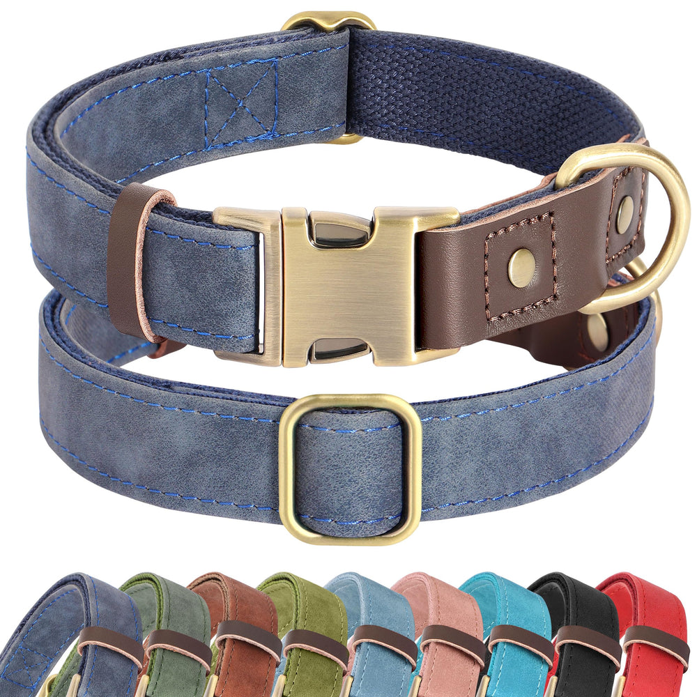 Didog collar gigante, vista general del diseño ancho, cómodo para uso diario.