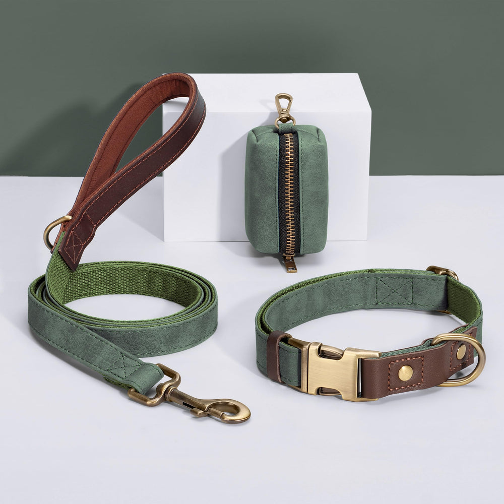 Didog collar con anilla en D para fijar la correa con seguridad.