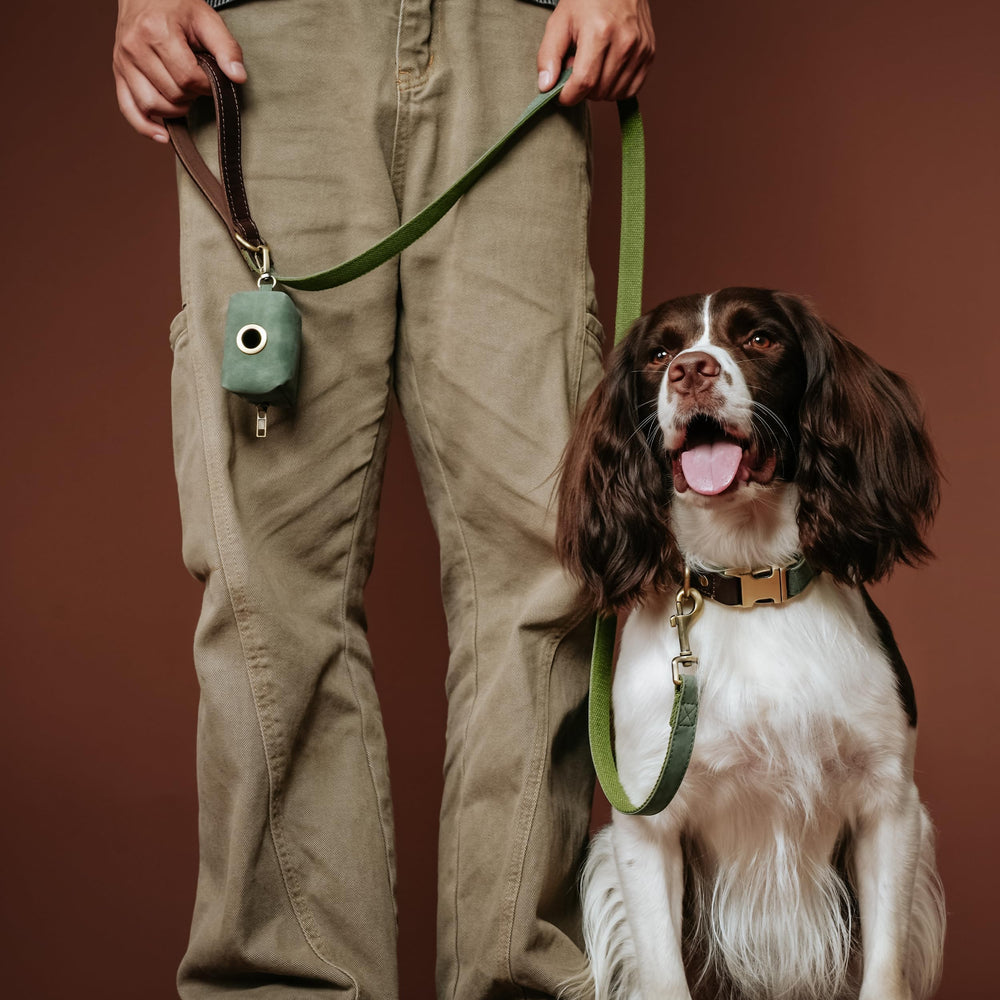 Didog collar facil de limpiar cuero PU y metal resistente.