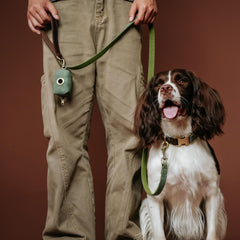 Didog collar facil de limpiar cuero PU y metal resistente.