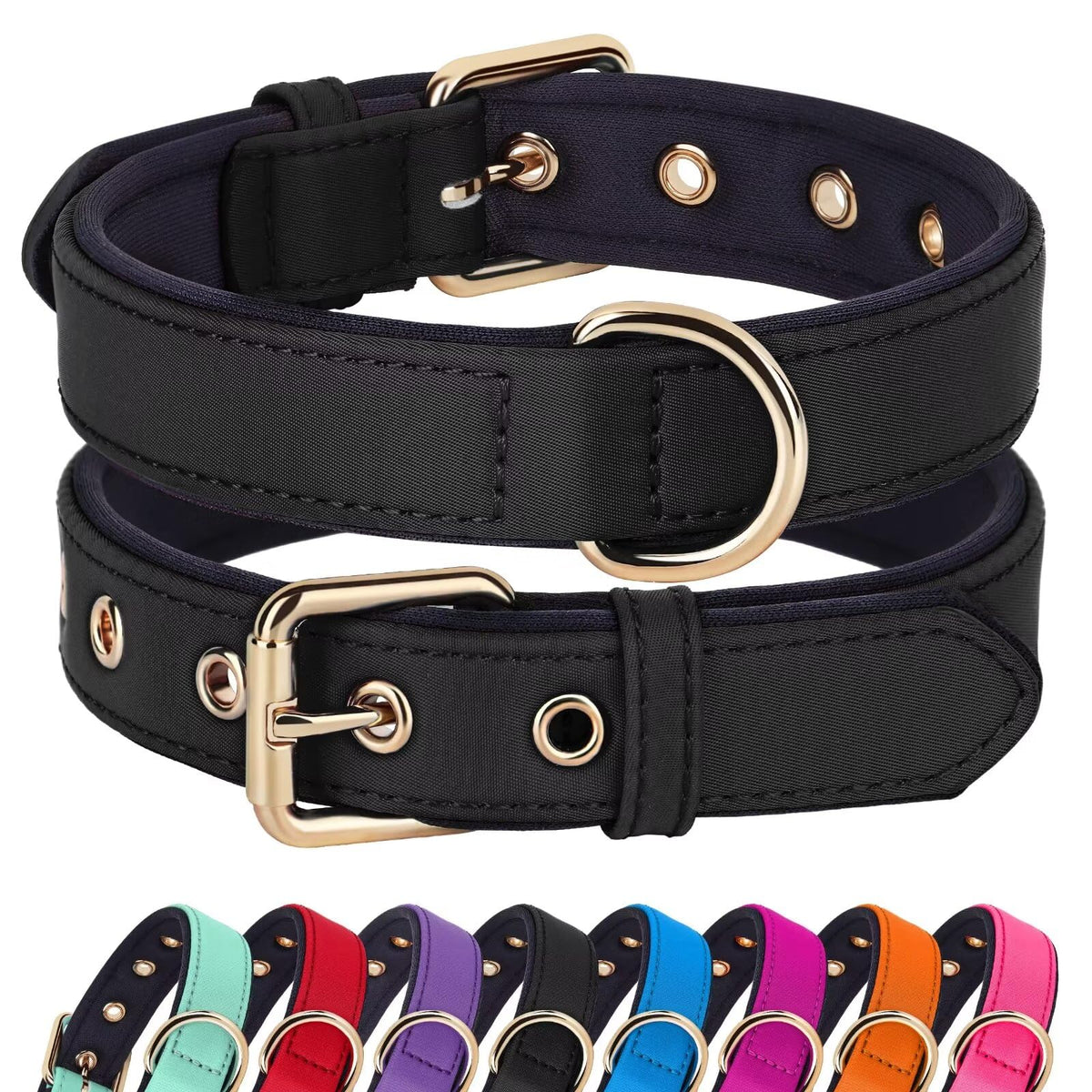 Didog collar acolchado para perros medianos con hebilla de metal, paseos cómodos.