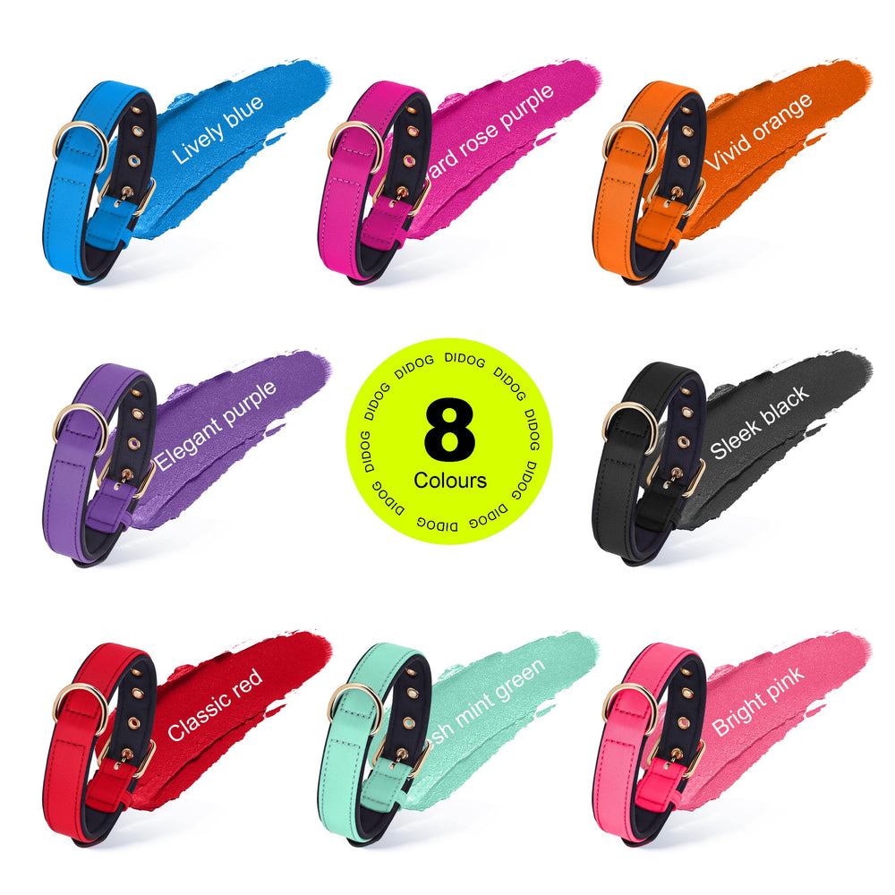 Didog collar para perros medianos en colores variados para estilo diario.
