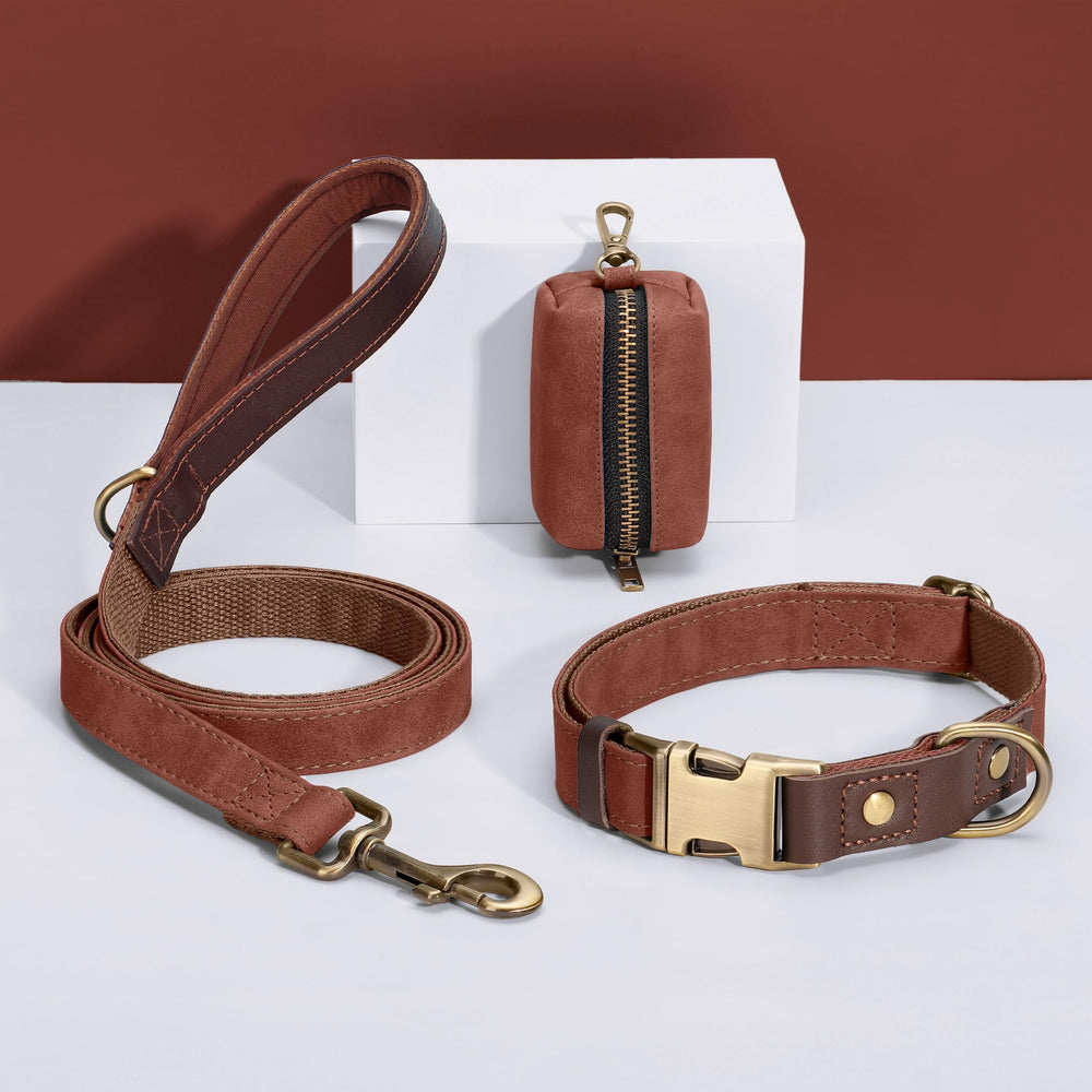 Didog collar con anilla en D para su correa estable