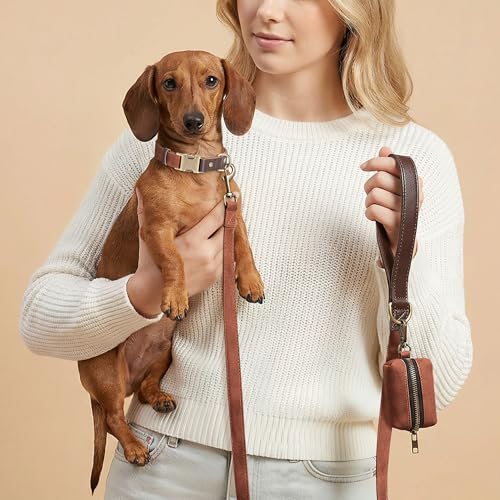 Didog collar fácil de limpiar con PU y nailon